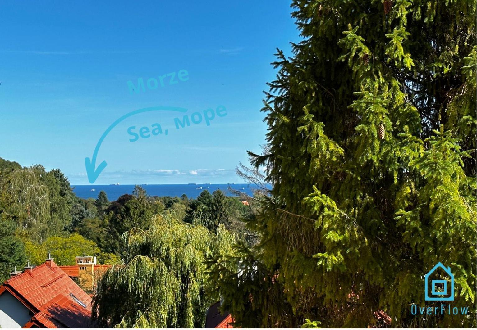 Array - 5 Minutes To Molo & Seaside * Zoppot